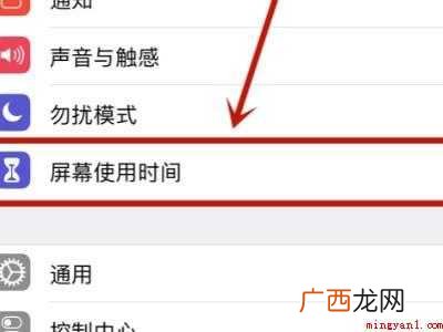 苹果浏览器怎么禁止使用的具体操作步骤 苹果浏览器怎么禁止使用