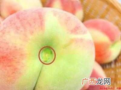 怎么挑桃子又甜又脆的具体操作步骤 怎么挑桃子又甜又脆