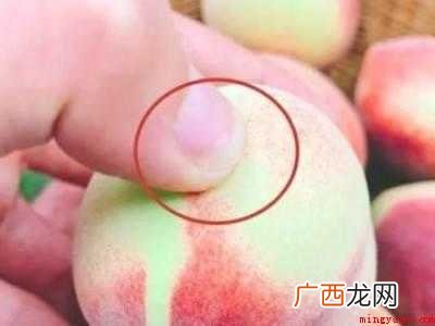 怎么挑桃子又甜又脆的具体操作步骤 怎么挑桃子又甜又脆