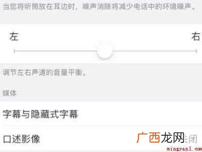 苹果ai字幕功能怎么使用