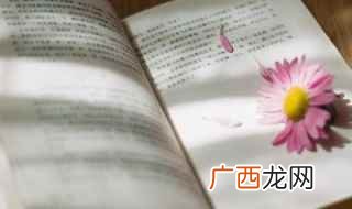 只带名字的网名超仙 好听又超仙的网名