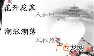 有文采的古风句子 这些句子古风十足