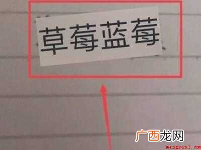 苹果手机拍照识别文字怎么弄