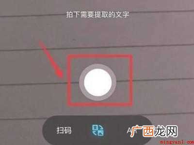 苹果手机拍照识别文字怎么弄