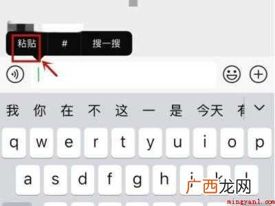 iPhone12怎么复制文字的具体操作步骤 iPhone12怎么复制文字