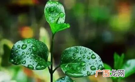 2023年长江中下游夏季雨量多吗 长江中下游梅雨季节是几月