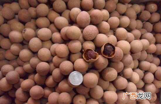 吃一些桂圆可以壮阳吗 吃桂圆可以壮阳吗