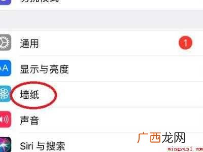 苹果手机如何更换壁纸的具体操作步骤 苹果手机如何更换壁纸