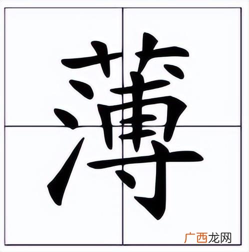 多音字薄的组词有哪些 薄可以组什么词
