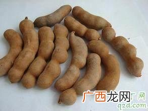 孕妇能吃酸角吗 孕妇吃酸角有效缓解孕吐