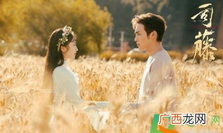 《我和我太姨奶奶》秦放的血为什么可以救司藤 秦放是树还是擎天树的后代
