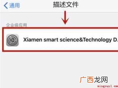 苹果12的信任在哪里设置的具体操作步骤 苹果12的信任在哪里设置