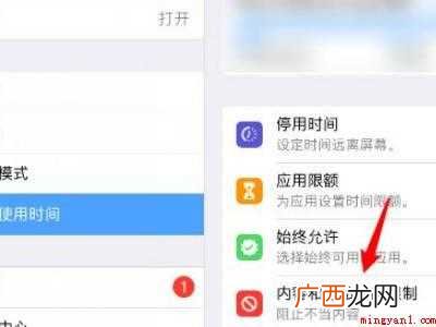 苹果ipad如何将游戏隐藏的具体操作步骤 苹果ipad如何将游戏隐藏
