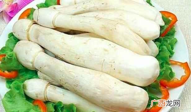 杏鲍菇不能和什么一起吃