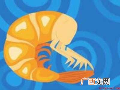 大虾怎么处理干净的具体操作步骤 大虾怎么处理干净
