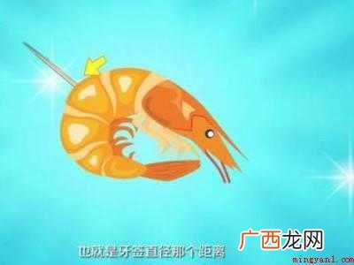 大虾怎么处理干净的具体操作步骤 大虾怎么处理干净