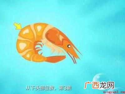 大虾怎么处理干净的具体操作步骤 大虾怎么处理干净