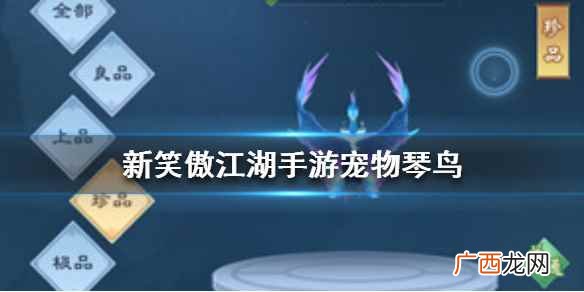 笑傲江湖宠物琴鸟多少钱 新笑傲江湖手游宠物怎么蜕变