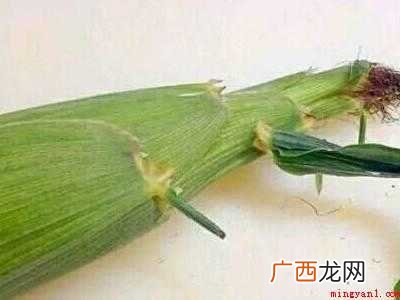 怎样煮玉米棒香甜好吃的具体操作步骤 怎样煮玉米棒香甜好吃