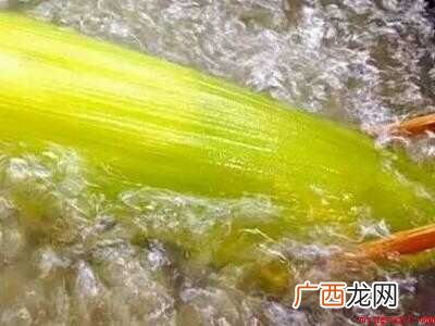 怎样煮玉米棒香甜好吃的具体操作步骤 怎样煮玉米棒香甜好吃