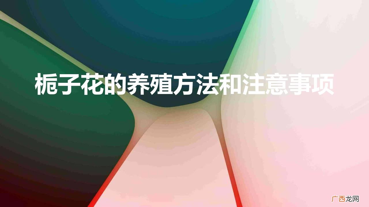 栀子花的养殖方法和注意事项