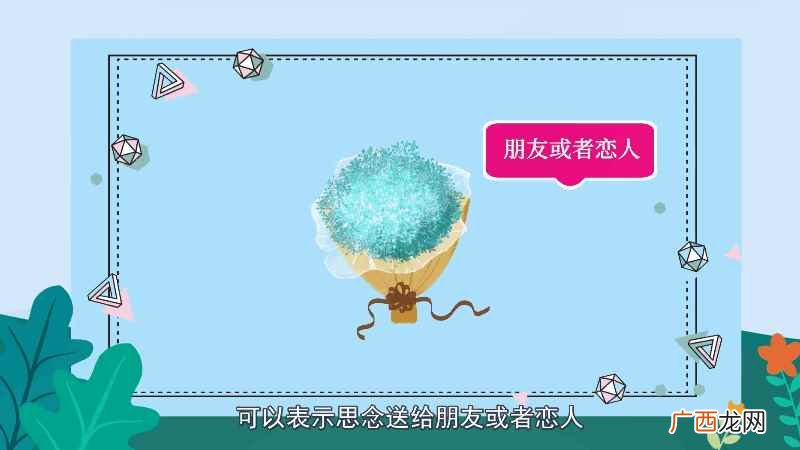 满天星的花语 满天星的花语是什么
