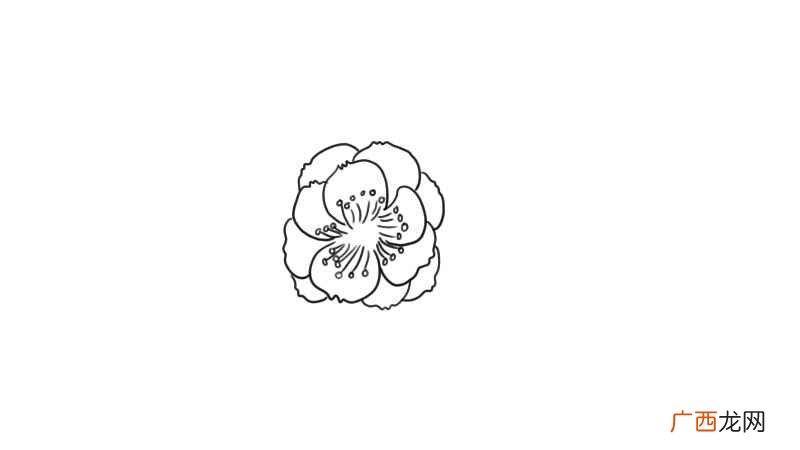梅花简笔画 梅花怎么画