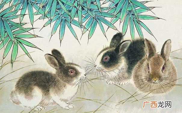 结局非常圆满美好 属兔和属狗的夫妻结局