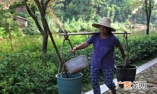 怎样用粪便才能种出高产优质的蔬菜 发酵粪便的使用
