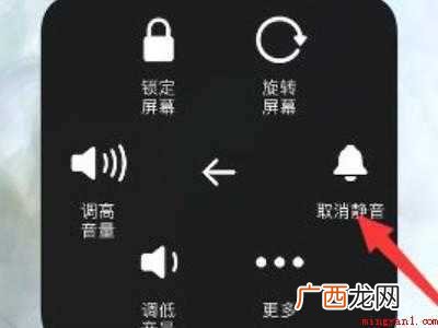 苹果12话筒没声音的具体操作步骤 苹果12话筒没声音