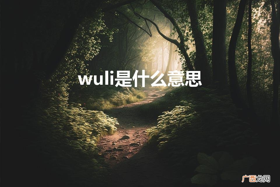 网络上流行语的wuli“的含义 wuli是什么意思