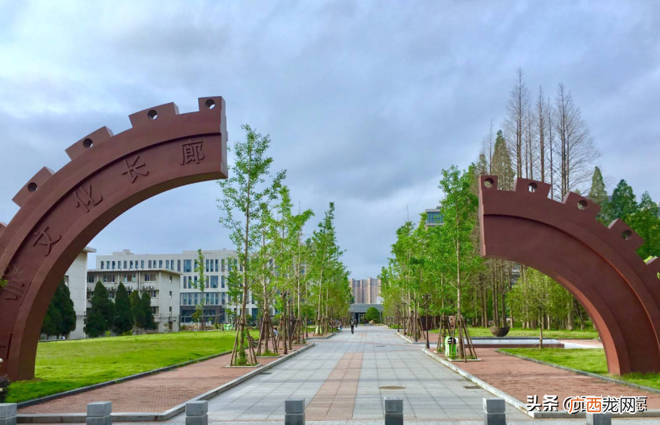 什么叫985学校什么叫211学校 小211大学算好大学吗
