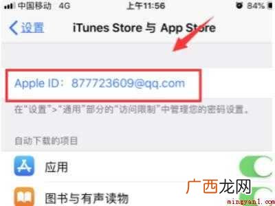 苹果id无法验证账户怎么回事