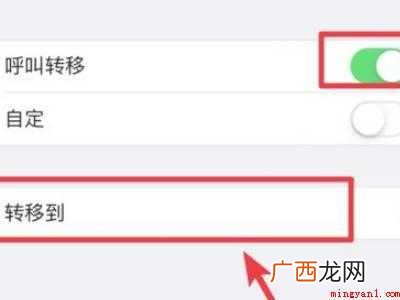 苹果12呼叫转移怎么设置的具体操作步骤 苹果12呼叫转移怎么设置
