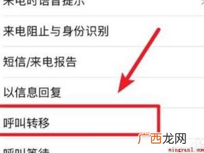 苹果12呼叫转移怎么设置的具体操作步骤 苹果12呼叫转移怎么设置