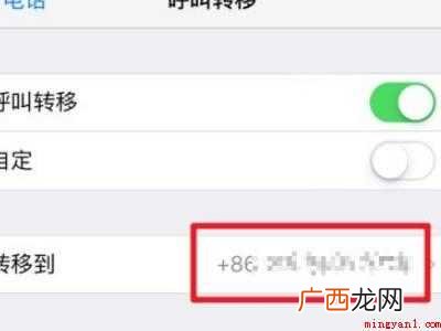 苹果12呼叫转移怎么设置的具体操作步骤 苹果12呼叫转移怎么设置