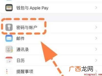 苹果手机怎么查id账号和密码的具体操作步骤 苹果手机怎么查id账号和密码