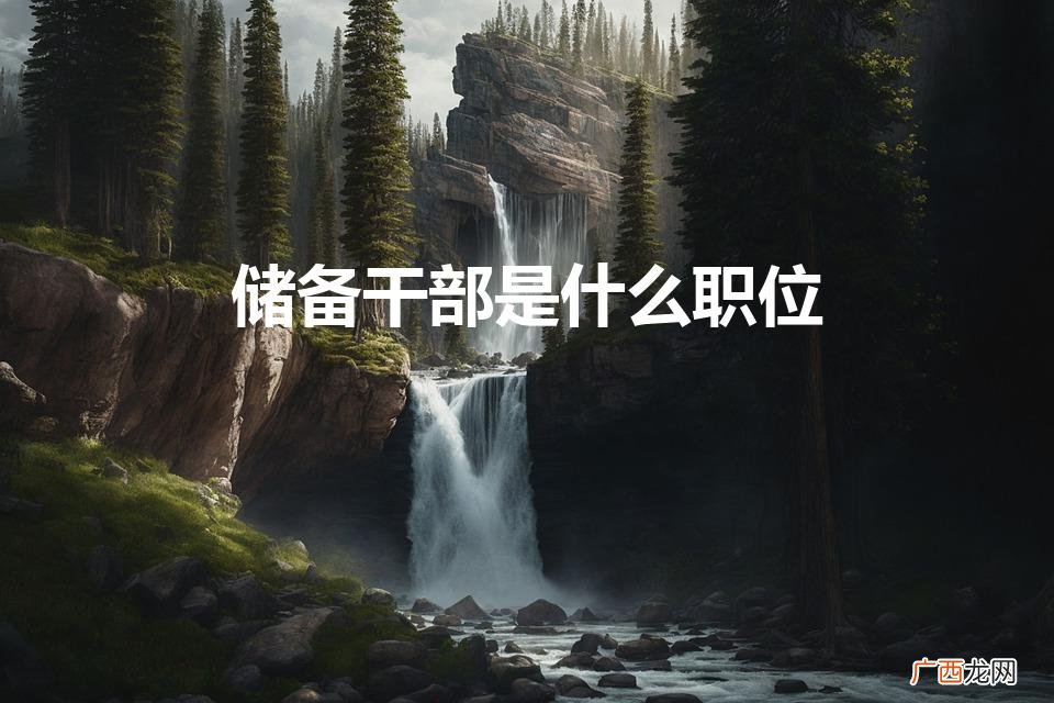储备干部是什么职位是做什么的 储备干部是什么职位