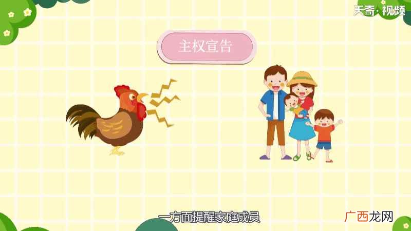鸡的大脑里有个“松果体” 为什么鸡会打鸣