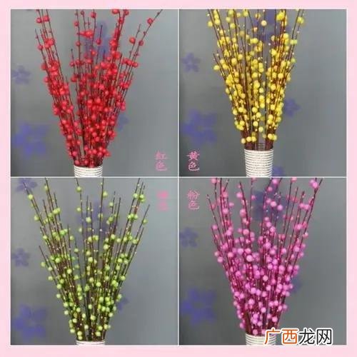 年宵花银柳水养还是干养更好 银柳枝怎么养护和管理