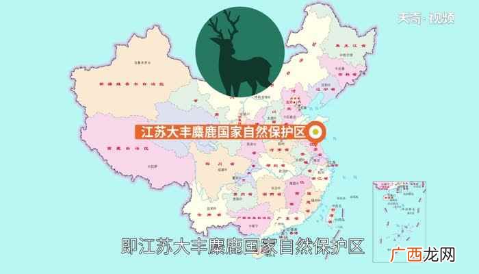 四不像是什么动物四不像神兽的来历