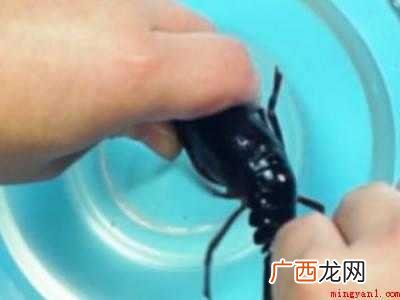 小龙虾怎么吃正确方法共有4步 小龙虾怎么吃正确方法