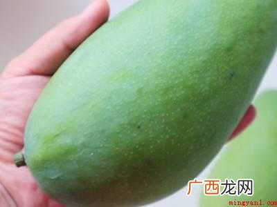 青芒果怎么保存的具体操作步骤 青芒果怎么保存