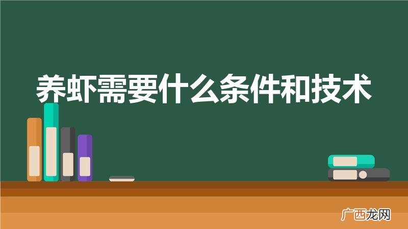 养虾需要什么技术什么条件 养虾需要什么条件和技术