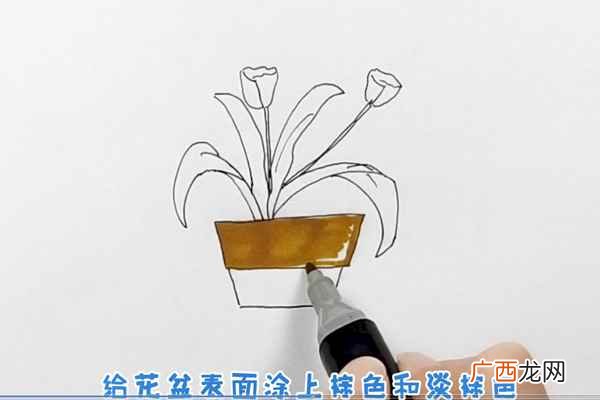 花盆简笔画又简单又好看 花盆简笔画