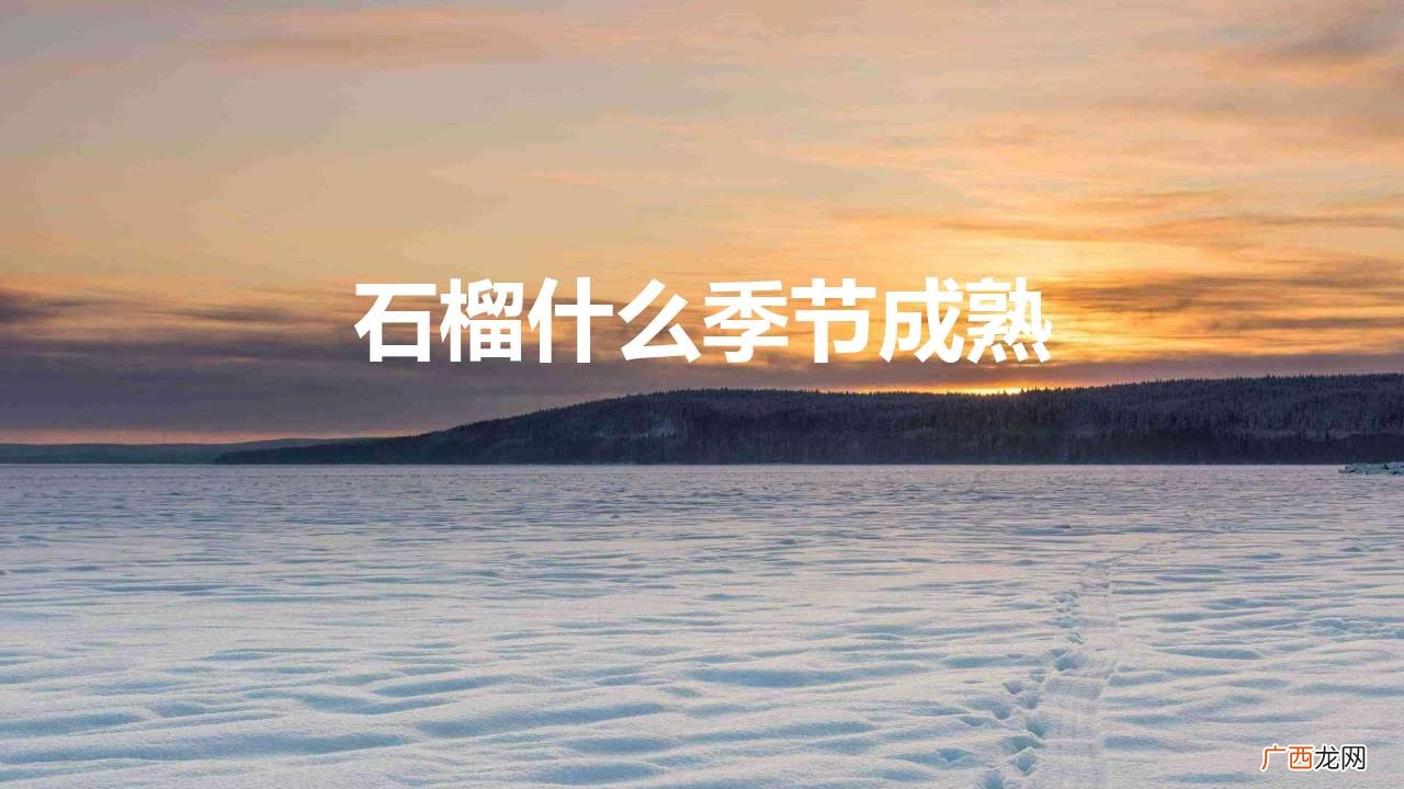 石榴什么季节成熟
