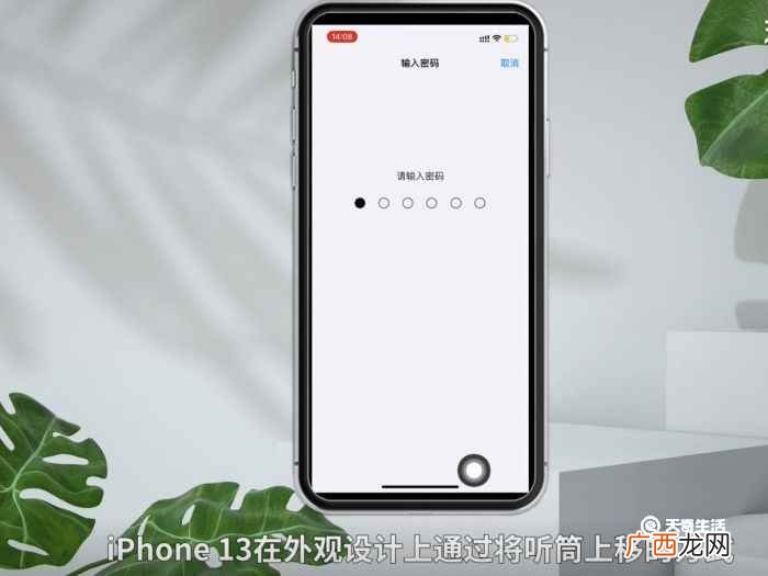 苹果可以双卡双待的机型 苹果双卡双待的机型