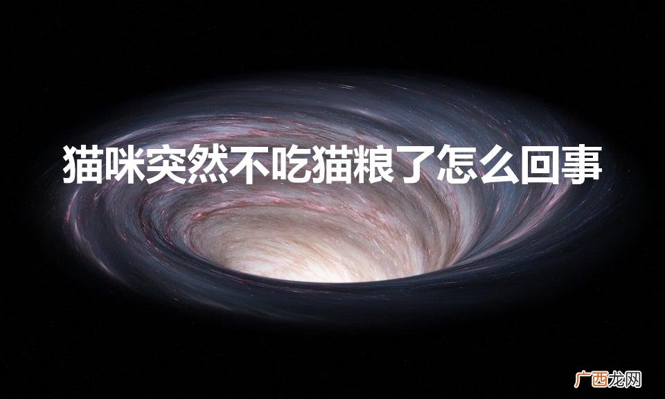 猫咪突然不吃饭了怎么回事 猫咪突然不吃猫粮了怎么回事