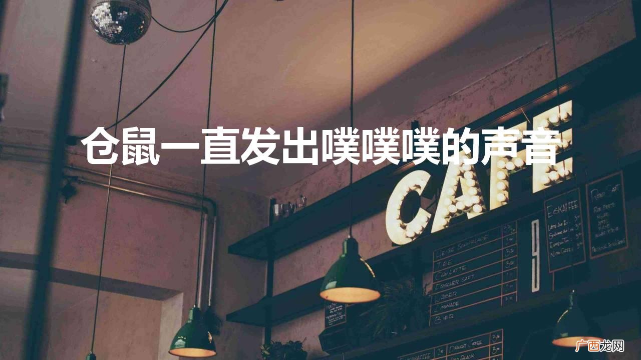 仓鼠一直发出噗噗噗的声音还摸鼻子 仓鼠一直发出噗噗噗的声音