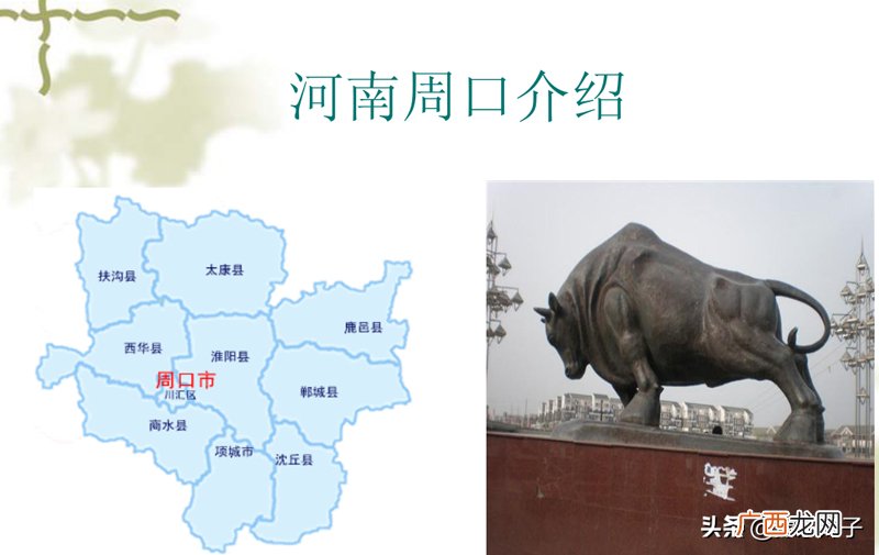 它的名字是怎么来的 周口是哪个省的城市